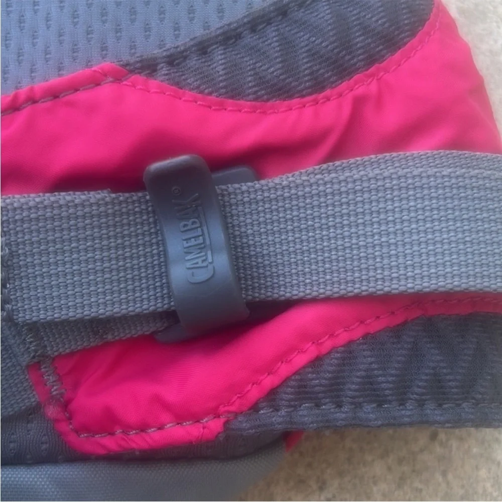 Camelbak FlashFlo LR 50oz Hydration Pink/Grey Waistpack